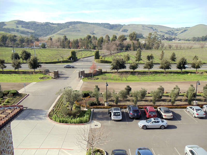 Jacuzzi Family Vineyards &amp;amp; Winery, Sonoma Valley, California, USA
The Jacuzzi Family Vineyards &amp;amp; Winery owns and farms grapes at its estate in Sonoma-Carneros and the Sonoma Coast appellation, specifically the Petaluma Gap. 
Carneros