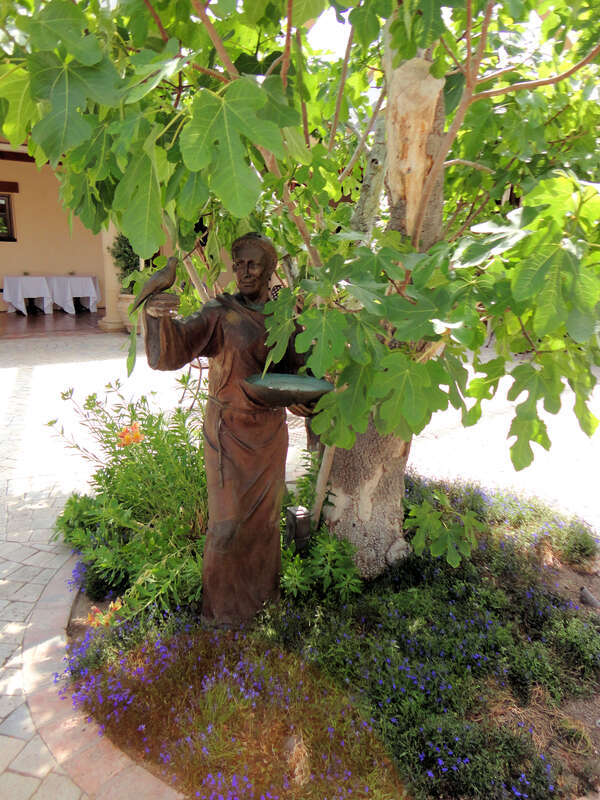 Jacuzzi Family Vineyards &amp;amp; Winery, Sonoma Valley, California, USA
The Jacuzzi Family Vineyards &amp;amp; Winery owns and farms grapes at its estate in Sonoma-Carneros and the Sonoma Coast appellation, specifically the Petaluma Gap. 
Carneros