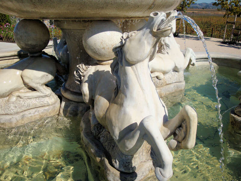 The Jacuzzi Family Vineyards &amp;amp; Winery owns and farms grapes at its estate in Sonoma-Carneros and the Sonoma Coast appellation, specifically the Petaluma Gap. 
Carneros stretches across the cool southern extremities of both Sonoma and Napa