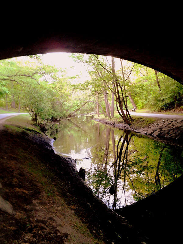 Longwood, Boston, MA, USA