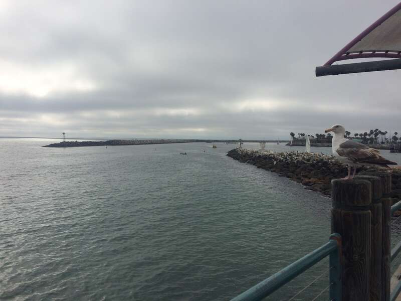 California, USA - June 2016

Los Angeles