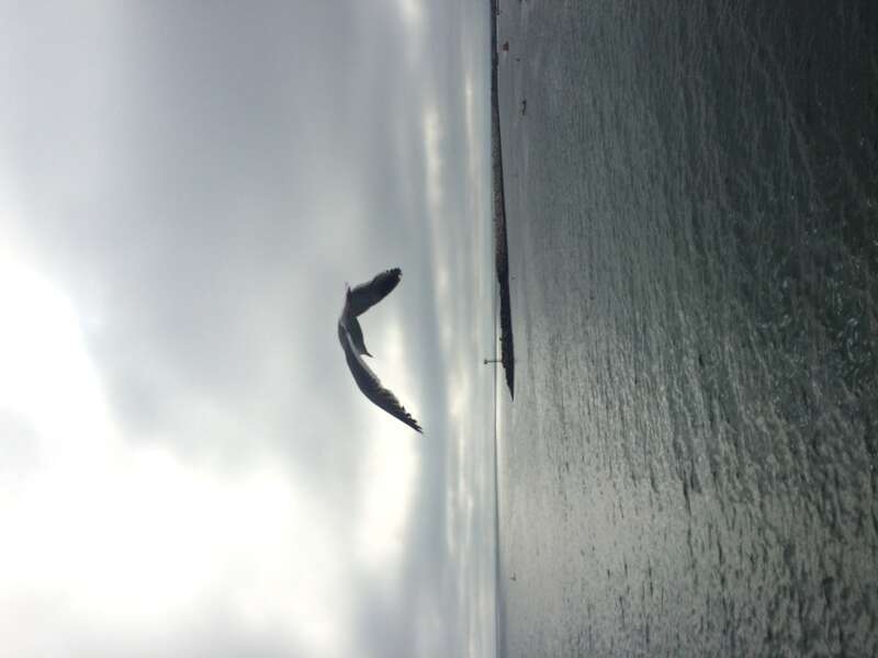 California, USA - June 2016

Los Angeles