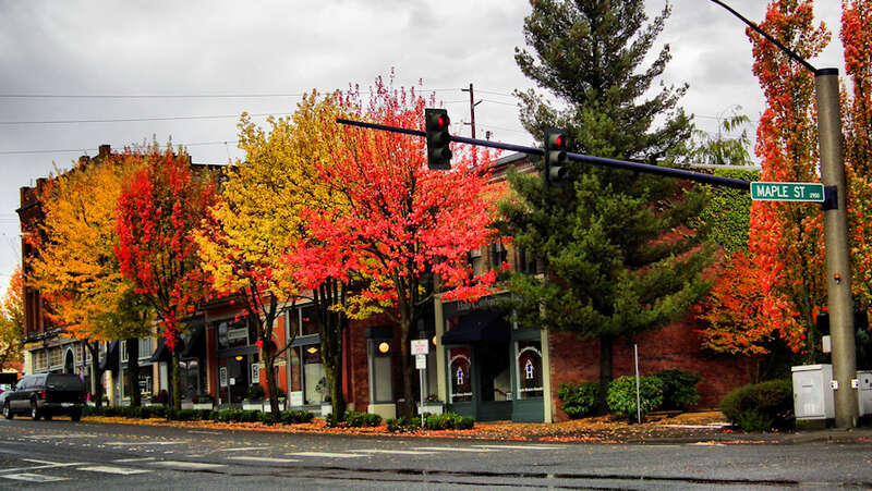 Maple St, Everett, WA
