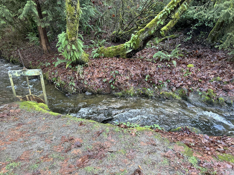 Mill Creek at the Mill Creek Canyon Earthworks, a public park in Kent, Washington.