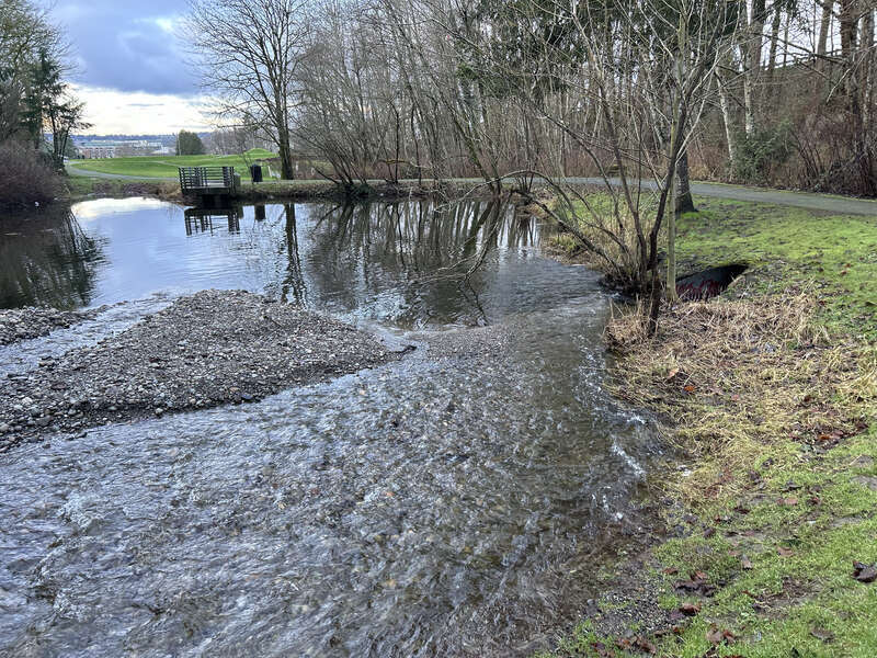 Settling Pond at the Mill Creek Canyon Earthworks, a public park in Kent, Washington.