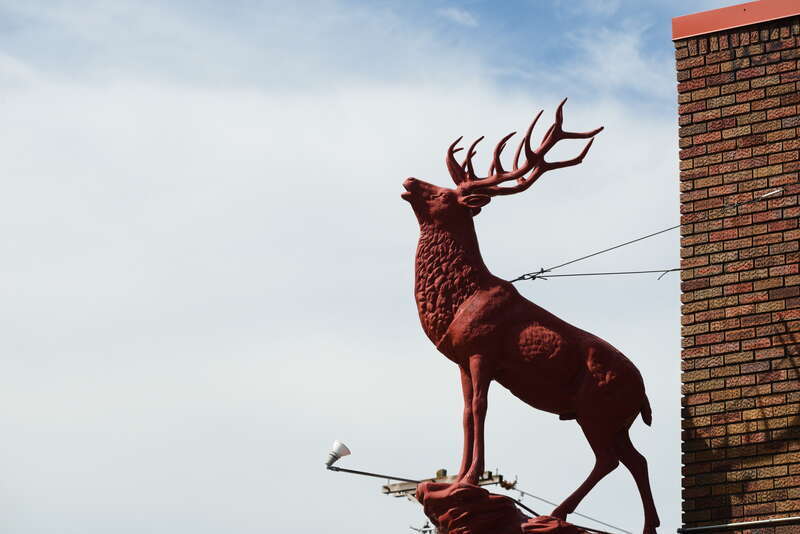 This photo is from the East Bank area of Minneapolis. The neighborhood of &quot;Nicollet Island/East Bank&quot; is in the University community.
Minneapolis is split into 11 communities which are split into 86+ neighborhoods. My goal in 2022 is to take photos