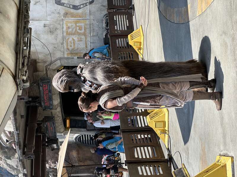 Actors in Anaheim, Disney, Rei and Chewy