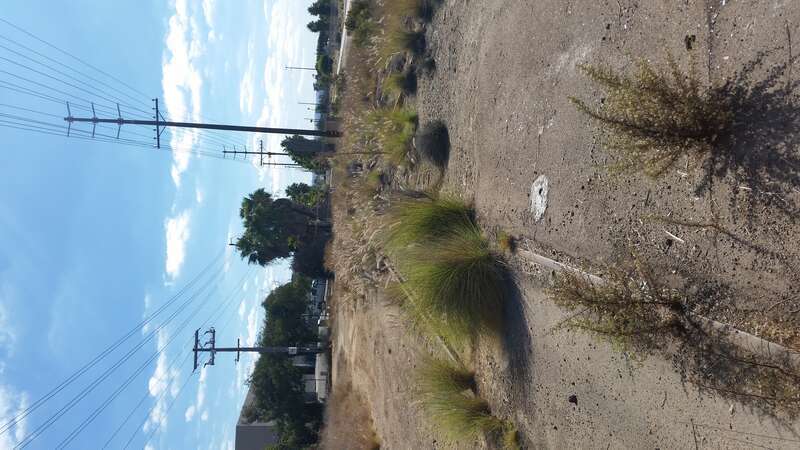 Abandoned Rail in Chula Vista, west of Bay Boulevard, South of H Street, and east of Bayshore Bikeway.