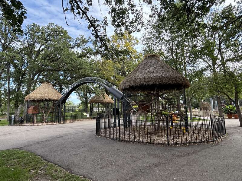 The Black-and-white Ruffed Lemur enclosures ate the Roosevelt Park Zoo in Minot, North Dakota.