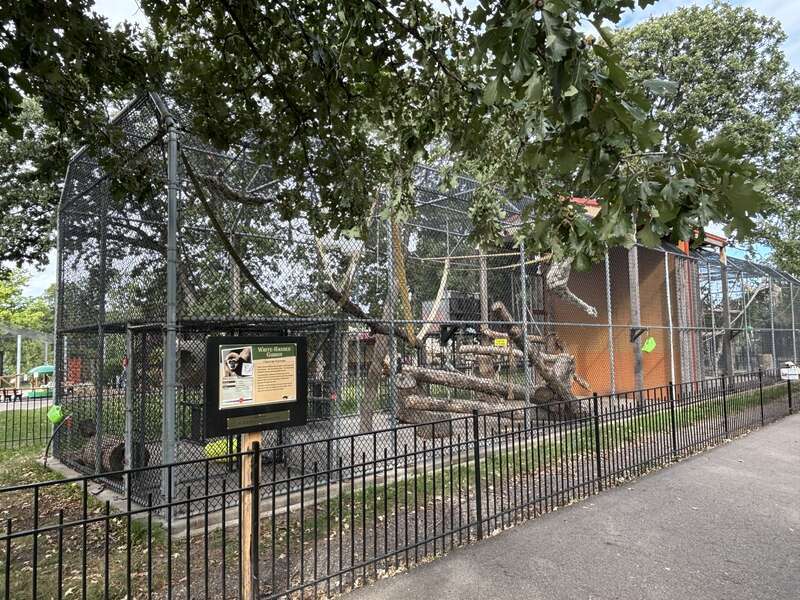 White-handed Gibbon enclosure at the Roosevelt Park Zoo in Minot, North Dakota.