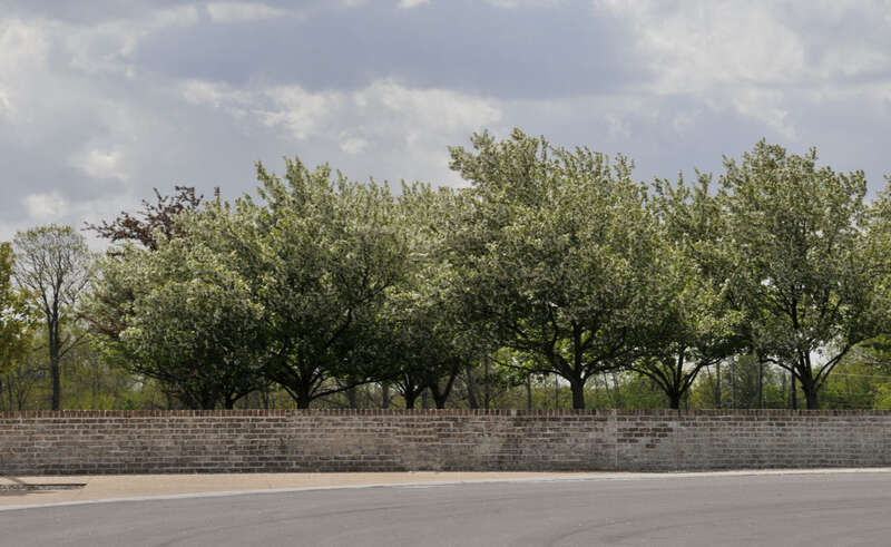 St. Catherine Church - Blooming trees