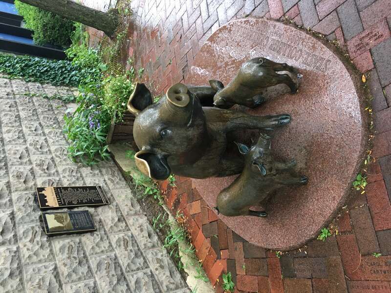 Statue of pigs, commemorating the centennial of State College, Pennsylvania