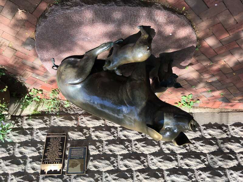 Statue of pigs commemorating centennial of State College, Pennsylvania
