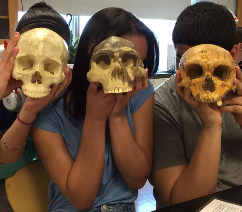High school students in an introductory Biology course at Binghamton High School, Binghamton NY, USA, holding replicas of hominin skulls [presumably, H. sapiens, Australopithecus, H. erectus] in front of their heads.