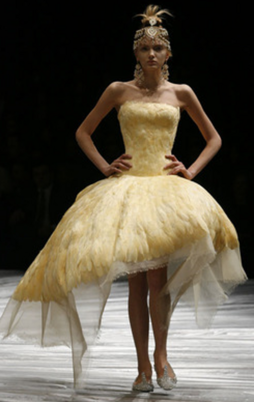 The Girl Who Lived In The Tree - Look 34 - Alexander McQueen Fall 2008 Collection