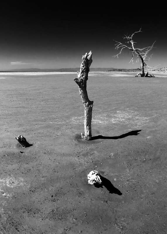 The Shadow Points East