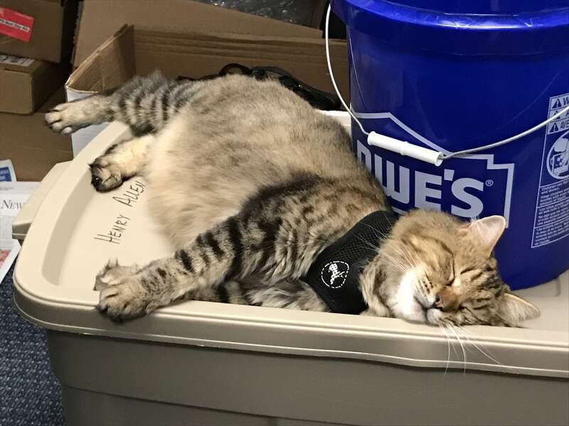 Attempting to stop Armageddon