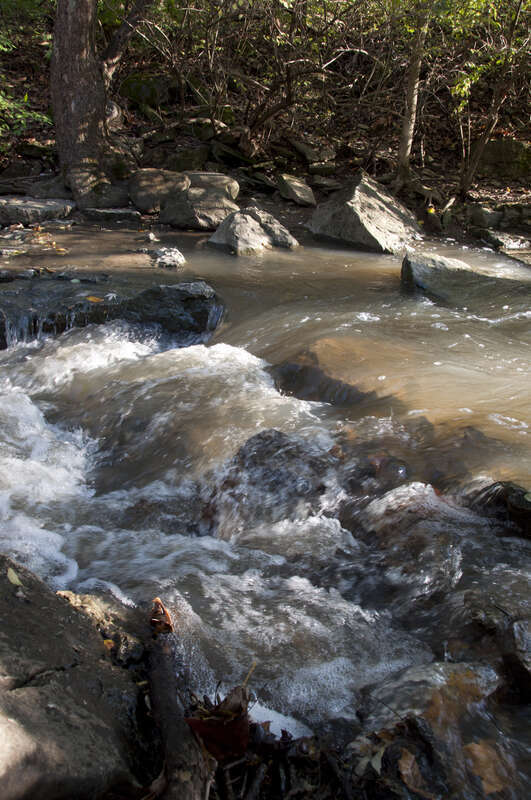 Upstream from the Waterfalls at Indian Run Falls in Dublin, Ohio. A view of South Fork Indian Run creek before Indian Run Falls.