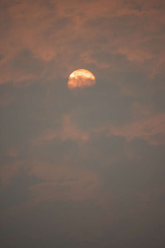 500px provided description: September 5th, 2017: Wildfire near Mount Rainier.

Air is smoggy. Little bits of ash floating around. [#sunrise ,#sunset ,#dawn ,#suset ,#red sky ,#orange sky ,#burning sky ,#sunet ,#golden sky ,#fire in the sky ,#orange