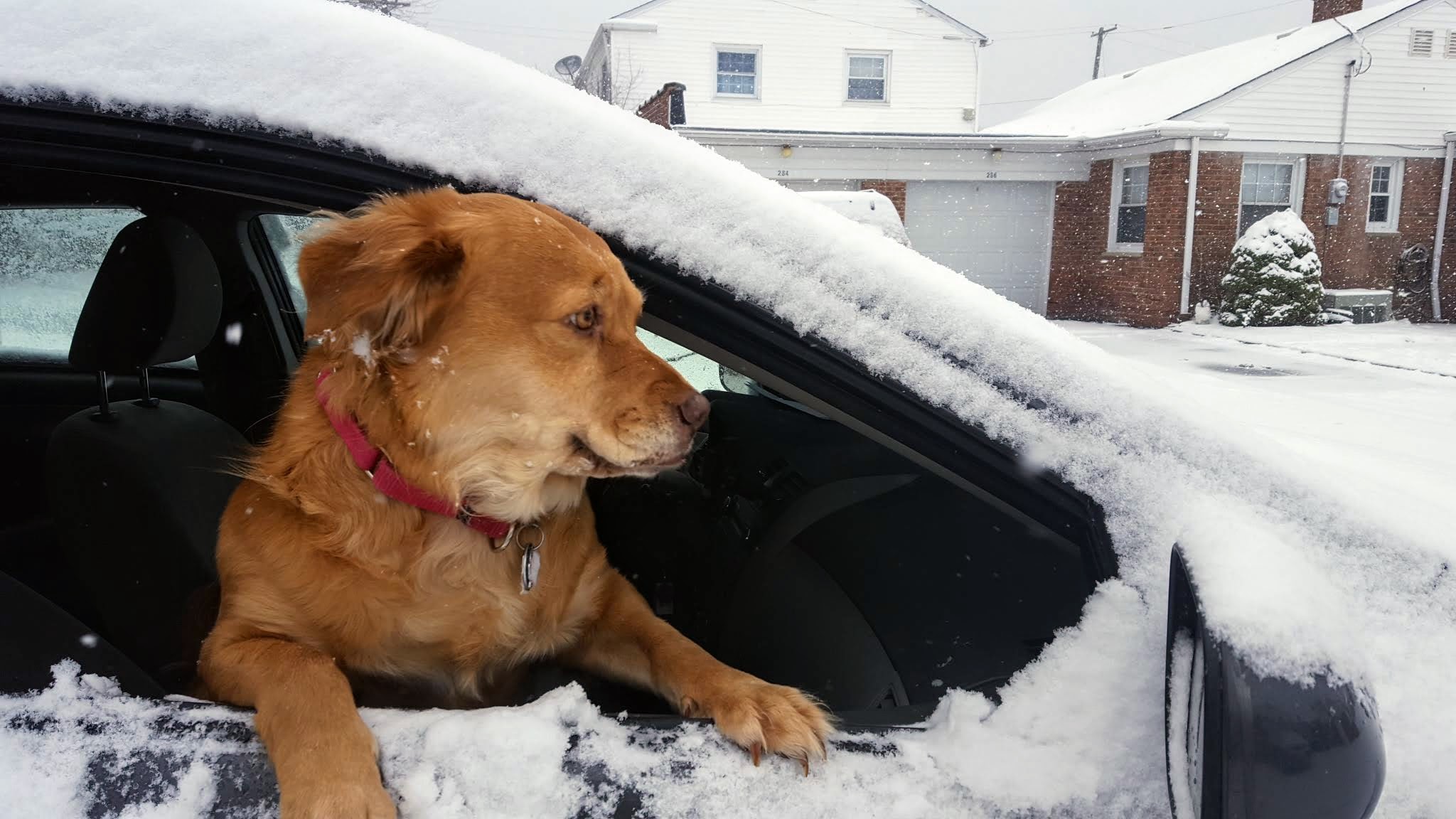 &quot;Yeah, turn right.&quot;