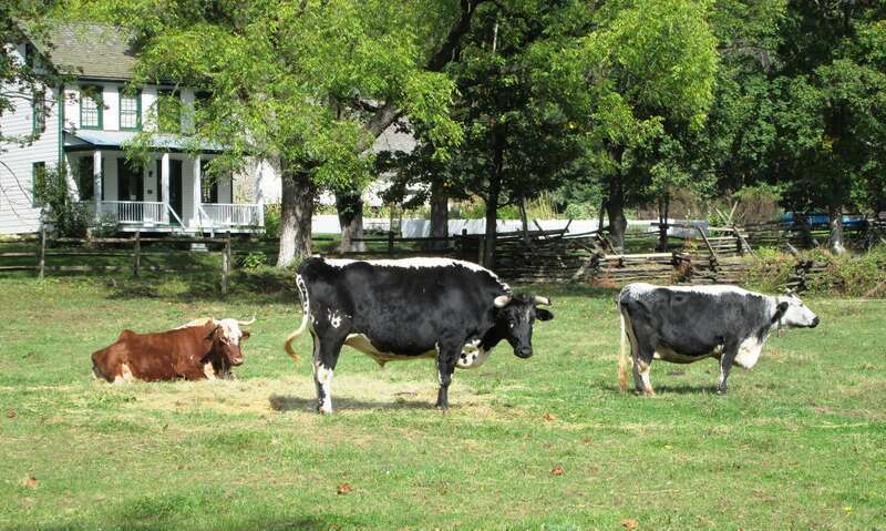 The Landis Valley Museum is a living history museum located in Lancaster, Pennsylvania. It collects, conserves, exhibits, and interprets Pennsylvania German material, culture, history and heritage from 1740 through 1940. The museum was founded by the