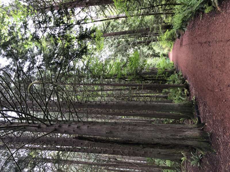 Beaver Lake Park, Sammamish, Washington
