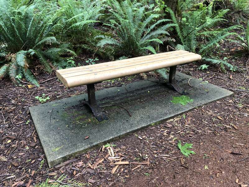 Beaver Lake Park, Sammamish, Washington