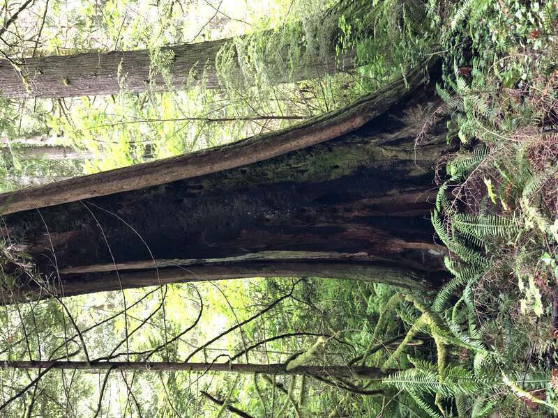 Beaver Lake Park, Sammamish, Washington