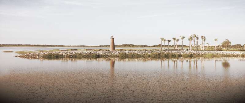 Sometimes pictures just don't need any color