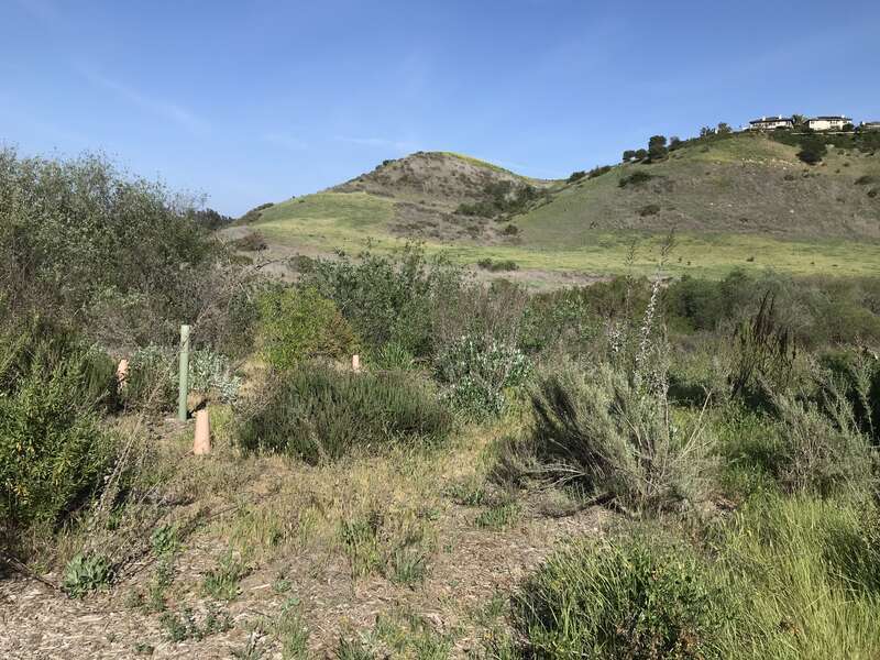 Aliso and Wood Canyons Wilderness Park