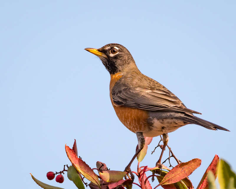 Point Pinole Regional Shoreline, Richmond, California