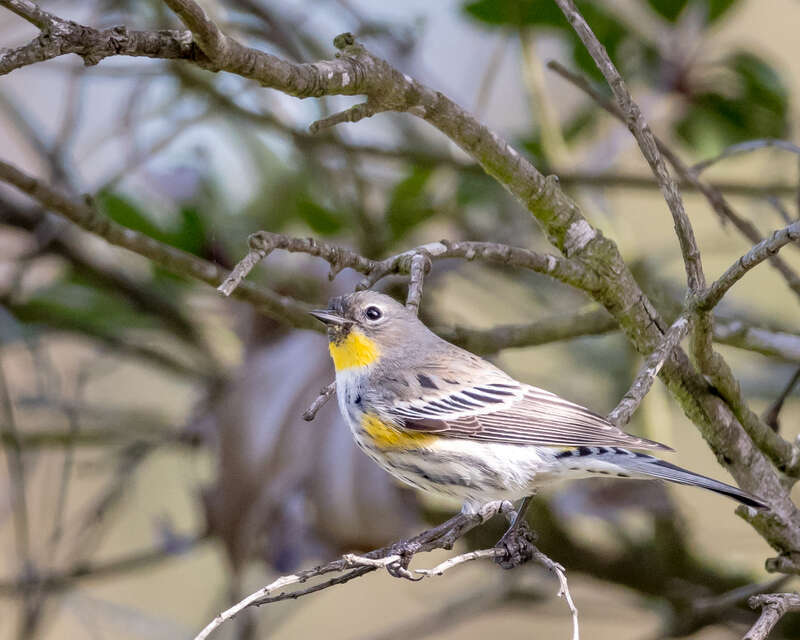 Point Pinole Regional Shoreline, Richmond, California