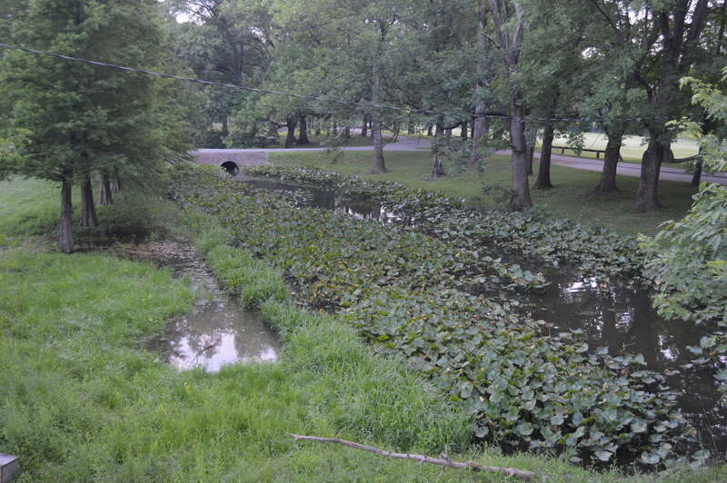 Looking north from Nurrenbern Road over Bayou Creek, which forms the northern border of Union Township, Vanderburgh County, Indiana, United States.  This bayou was the focus of Handly's Lessee v. Anthony, an 1820 US Supreme Court case between Indiana