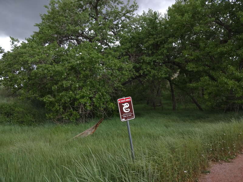 A warning sign to trail users to be careful regarding rattlesnakes.  Sign is located at the Devil's Backbone Open Space, Larimer County Colorado, US