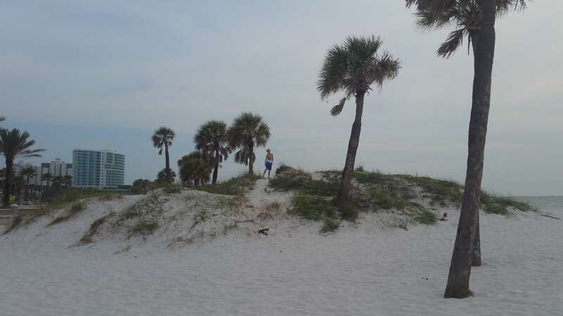 Beach at Clearwater, Fl 2016