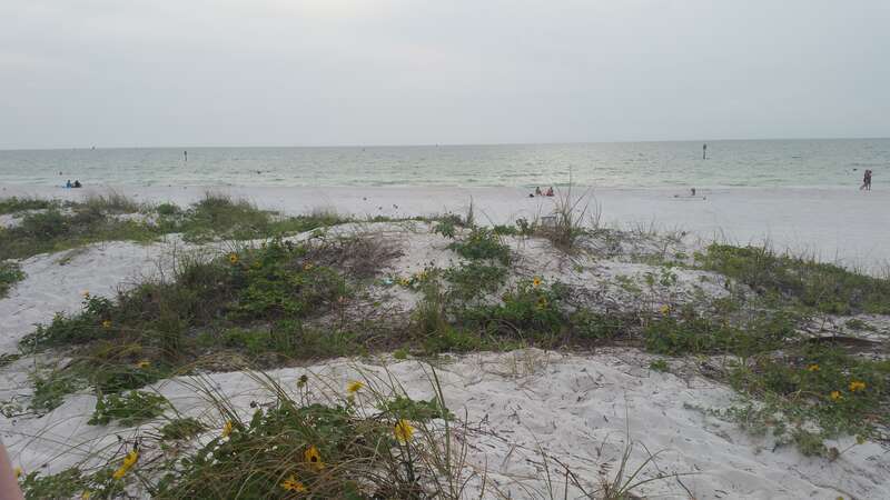 Beach at Clearwater FL 2016