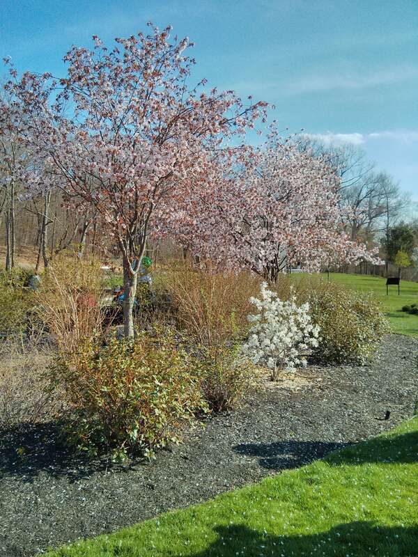 Biotech Park Area, Worcester, MA, USA