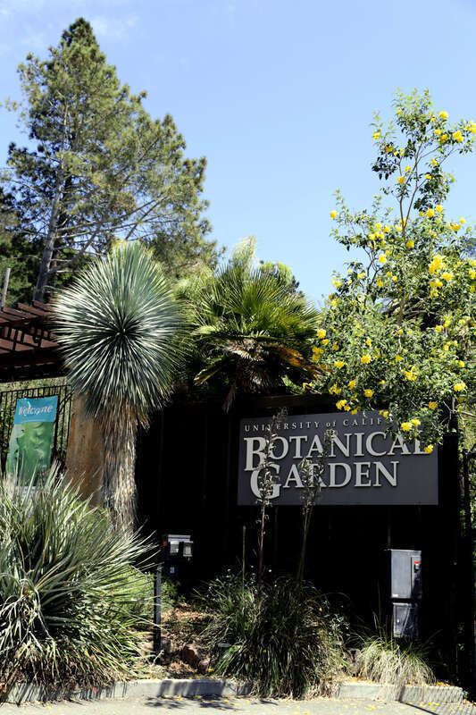 Botanischer Garten der University of California, Berkeley, Eingangsbereich von aussen, Hochformat