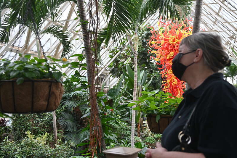 This photo is bad on so many levels, but it shows S watching butterflies on a hanging basket.  We are on an observation  platform that overlooks the water garden area; that's why the Chichuly sculpture seems to be on our level.
Taken on Thursday,