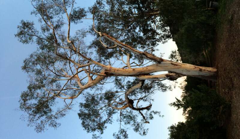 California, USA - March 2016

Orange County, California in March 2016