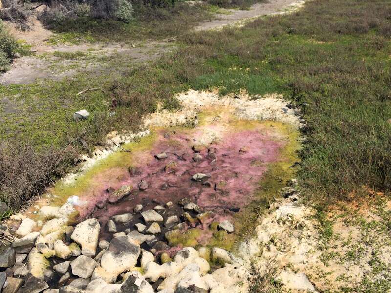 California, USA - March 2016

Orange County, California in March 2016