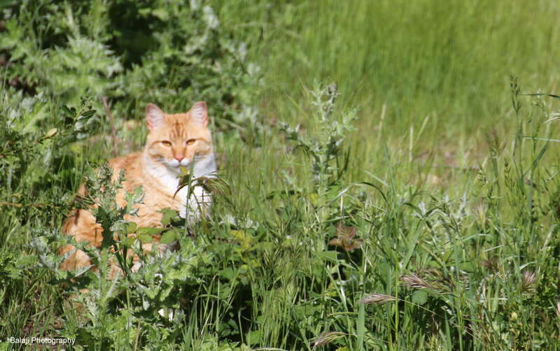 Photos Clicked in Rancho Cardova - California