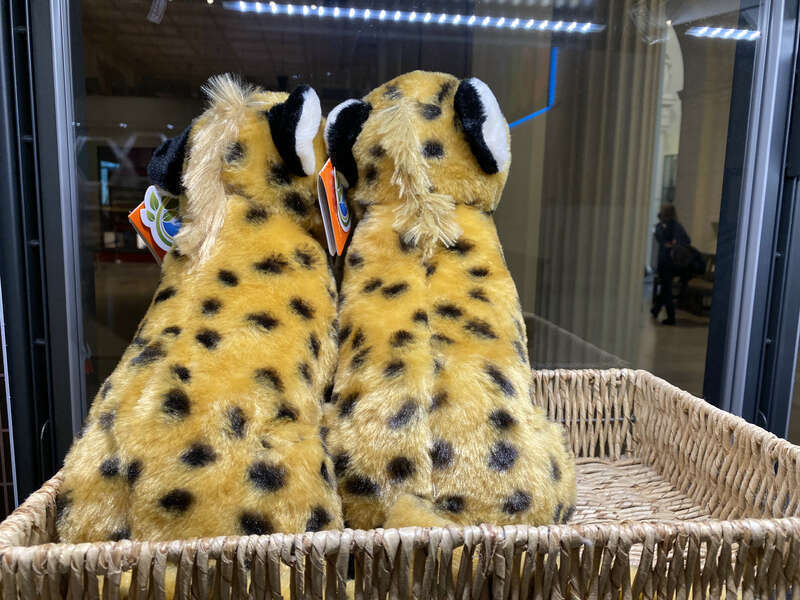 Midwest FurFest is a furry convention held from Dec 3-5, 2021 in Chicago, IL.  Attendance was 8,900 and their charity was MCP Chicago.