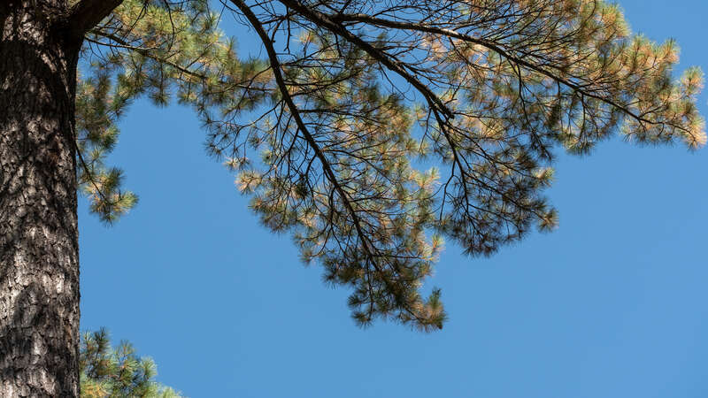 Chester Creek, Duluth 9/23/21