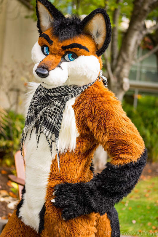ChipFox at Rainfurrest 2015