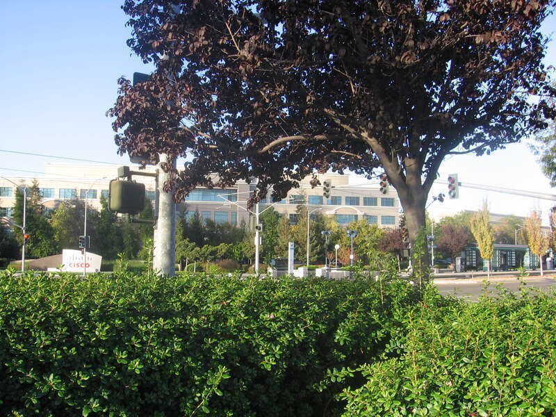 The Cisco Way (VTA) light rail station at East Tasman Drive and Cisco Way in San José, California, USA.
