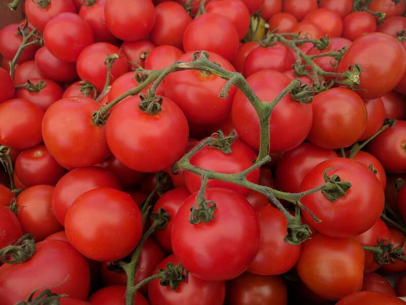 A box of tomatoes labeled as &quot;Cocktail Tomatoes&quot; at a farmer's market in Campbell, California.