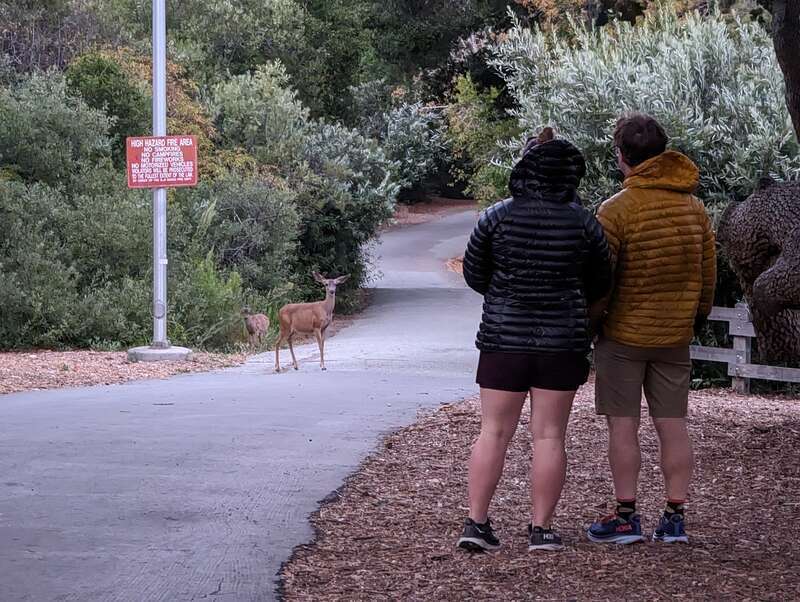 Laurelwood Park, San Mateo