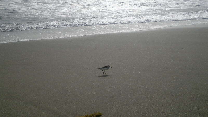 delray beach, this is my friend :)