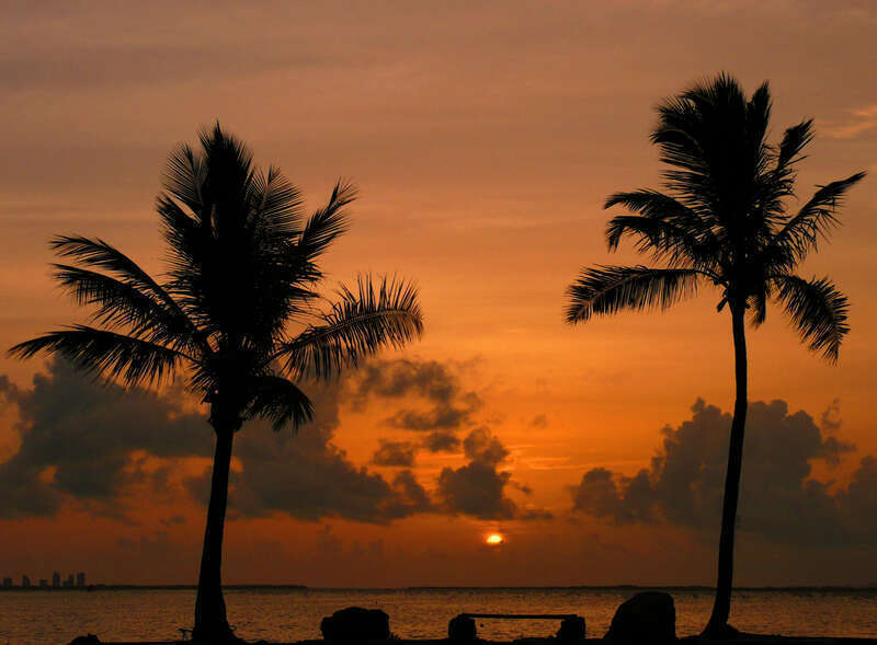 yLooking east from Matheson Hammock.   Miami skyline on the left...
&amp;lt;a href=&quot;http://www.joiseyshowaa.com&quot; rel=&quot;nofollow&quot;&amp;gt;www.joiseyshowaa.com&amp;lt;/a&amp;gt;
Web Sites using this photo:
&amp;lt;a href=&quot;http://www.dopplr.com/place/us/miami&quot;